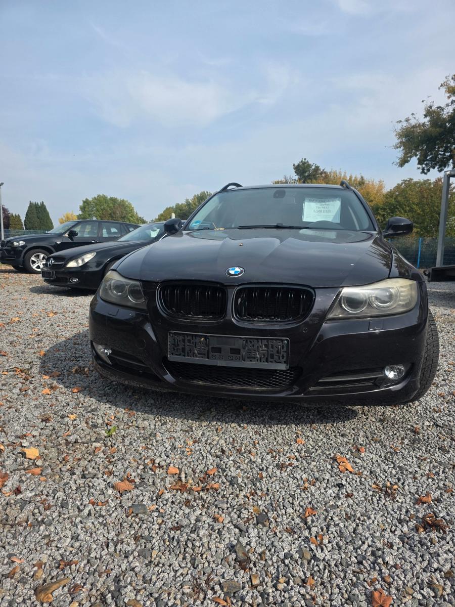 BMW 330 2009 — вигляд ззаду