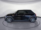 MINI Cooper Cabrio Aut. Klimaaut. Sportsitze PDC NSW - MINI Cooper Cabrio Gebrauchtwagen