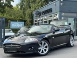 Jaguar XK 3.5 V8 Cabrio Aut. 2 Hand - /// - Jaguar XK: 3.5