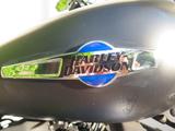 Harley-Davidson Sportster XL 1200 CB - HARLEY-DAVIDSON SPORTSTER 1200 C