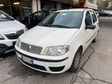 Fiat Punto Classic 1.2 5 porte - Fiat Punto: Class