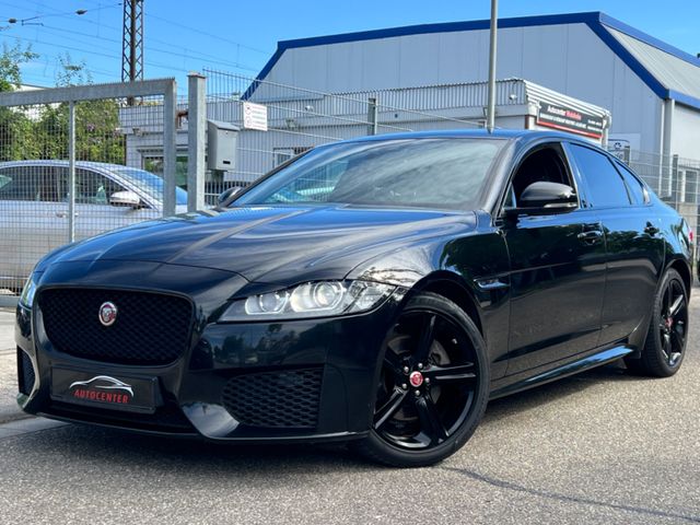 Jaguar XF Chequered Flag AWD|ALCANTARA|KAMERA|LEDER|NAV