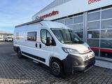 Roller Team Livingstone Duo XL Sport *MEGA PREIS - Offers
