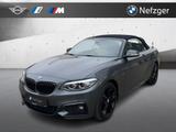 BMW 230 i Cabrio M Sport LED HiFi PDC RFK Lenkr.Heiz - BMW 230: I