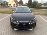 Lexus NX 300 300h E-FOUR Executive Line Executive Line - Lexus: Nx