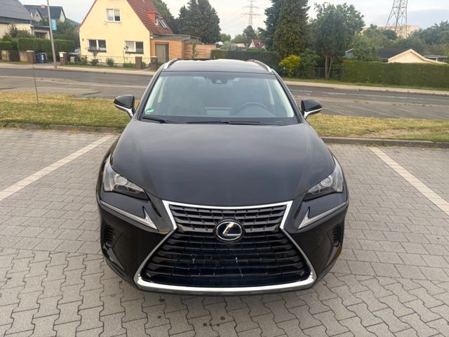 LEXUS NX 300
