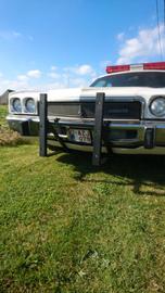 Plymouth Andere 1975