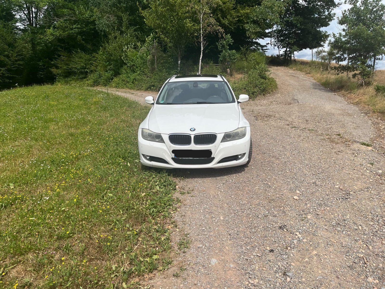 BMW 320, 2010