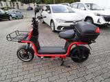 Andere ARI 45 Lastenmoped+100%ELEKTRO+TOPCASE+SOFORT+ - ELEKTRO KLEINKRAFTRAD