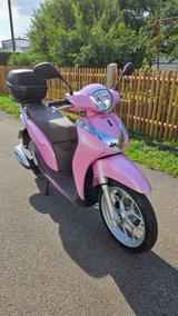 Honda Blickfang! Honda Mode 125 - KLEINKRAFTRAD 125