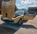 Alfa Romeo Alfa Montreal Oldtimer seit 36 Jahren im Besitz - Alfa Romeo: Montreal