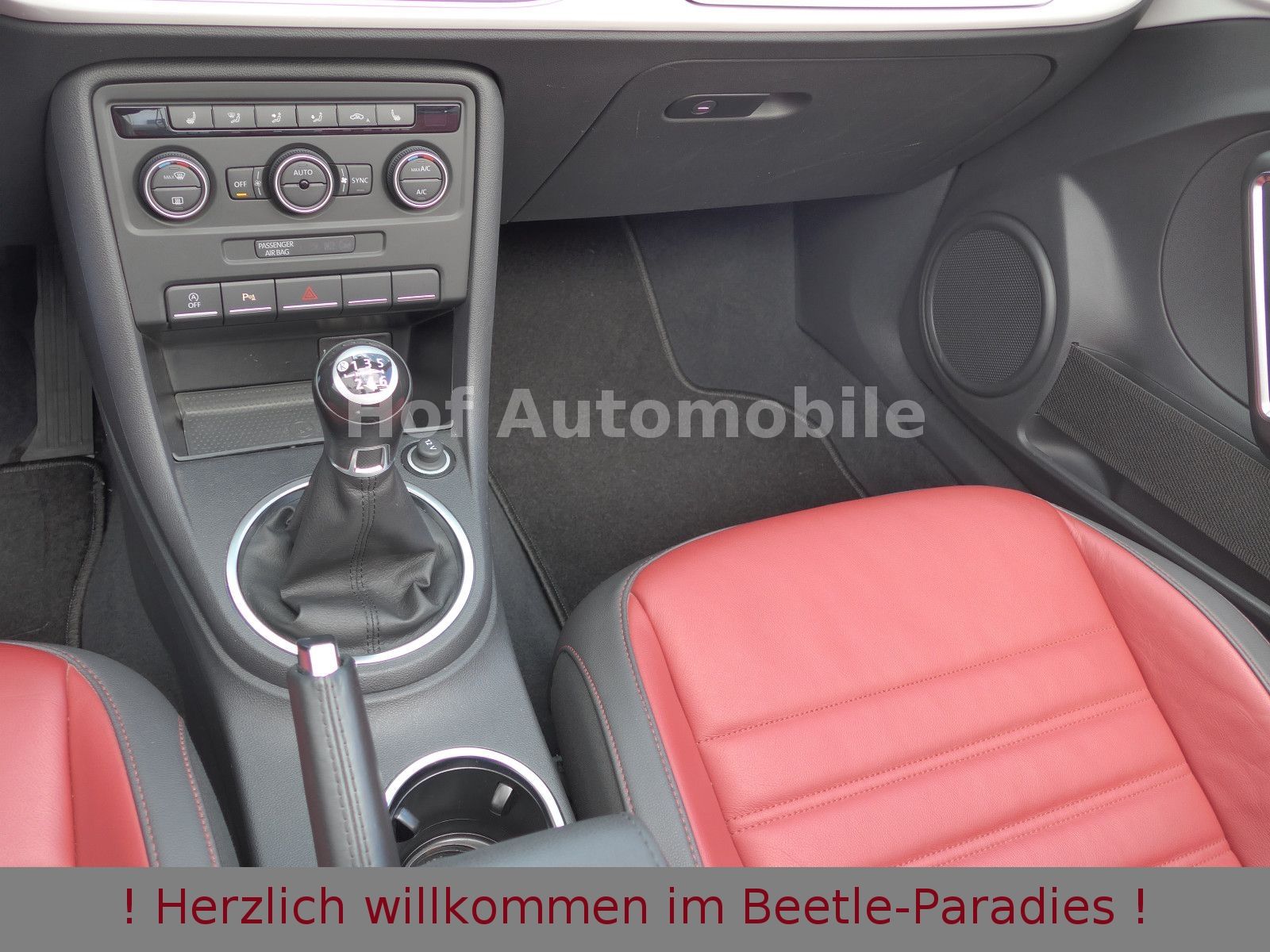 Volkswagen Beetle 1.2TSI 50"s Design Xenon Kamera Leder foto 17