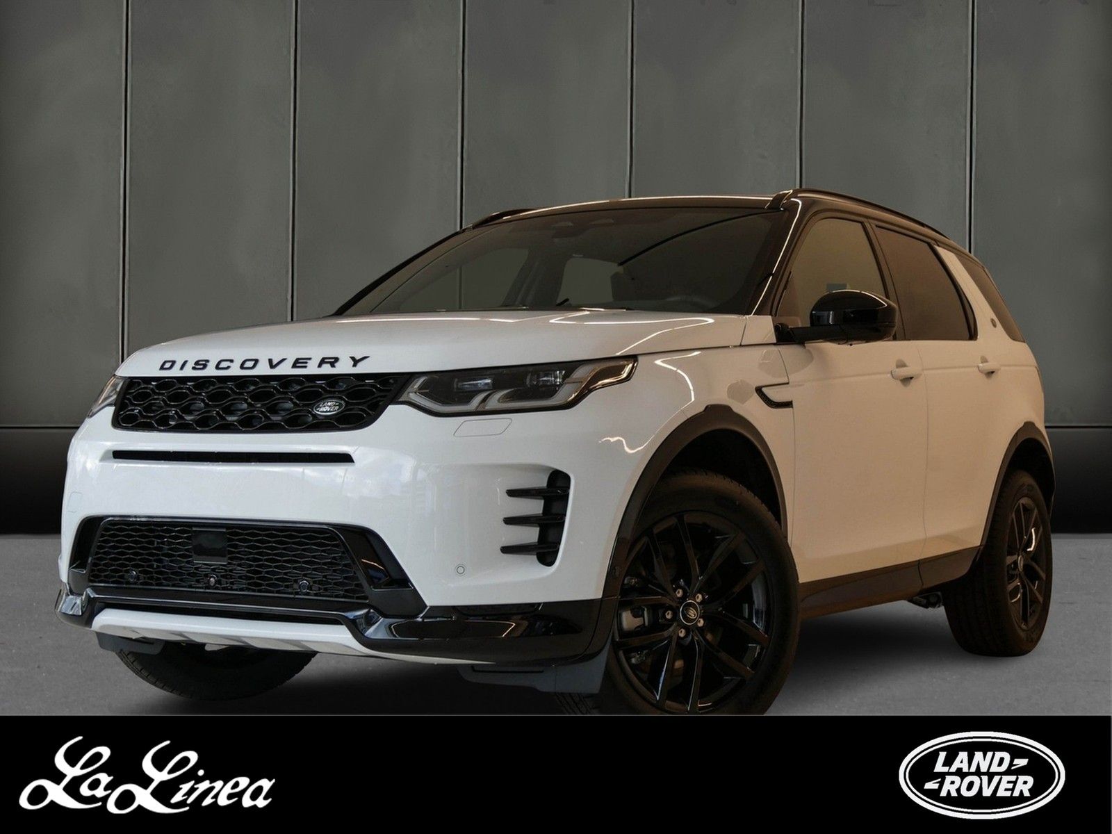 Land Rover Discovery Sport D165 Dynamic SE 7-Sitze, MAtrix 