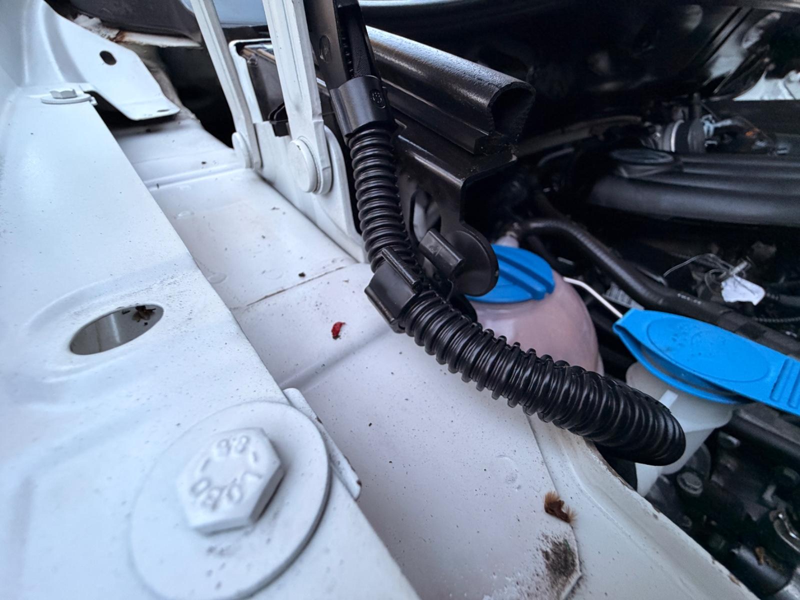 Volkswagen Caddy 2.0 EcoFuel Behörde ZR+Reifen NEU