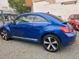 Volkswagen VW NEW BETTLE 1.4 **Aus 2.Hand ** - Volkswagen New Beetle in Dortmund