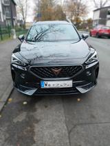 Cupra Formentor 1.5 TSI 110kW DSG - - Cupra Formentor in Solingen
