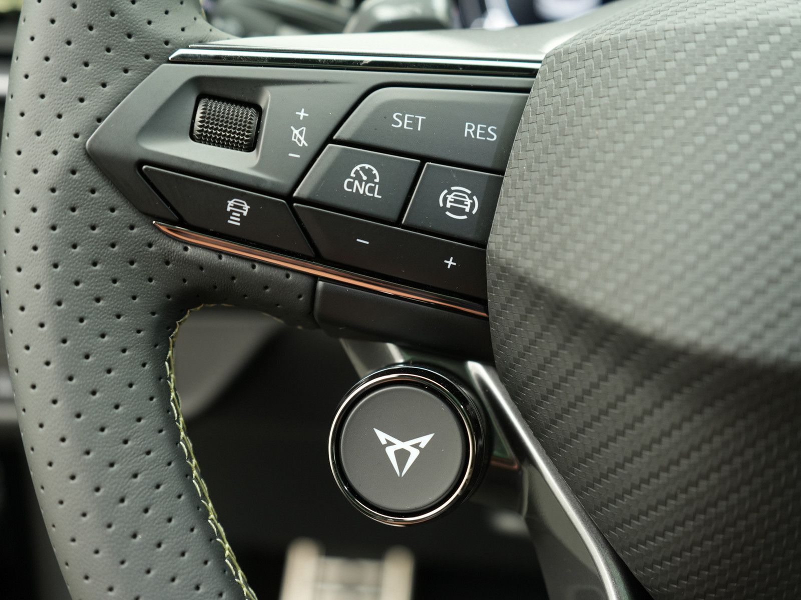 Cupra Terramar - Bild 14