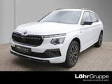 Skoda Kamiq 1.0 TSI DSG Selection '17 ACC LED  SHZ PDC - Skoda Kamiq aus 2025