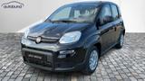 Fiat 1,0  Hybrid (MHEV) Pandina Base NBA PDC SHA
