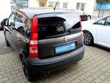 Fiat Panda 1.1 8V Active Allwetterreifen Klima TÜV ne - gebrauchte Fiat Panda aus dem Jahr 2010