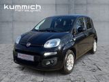 Fiat Panda 1.2l Lounge 69PS Klimaautomatik - Fiat Panda aus 2015