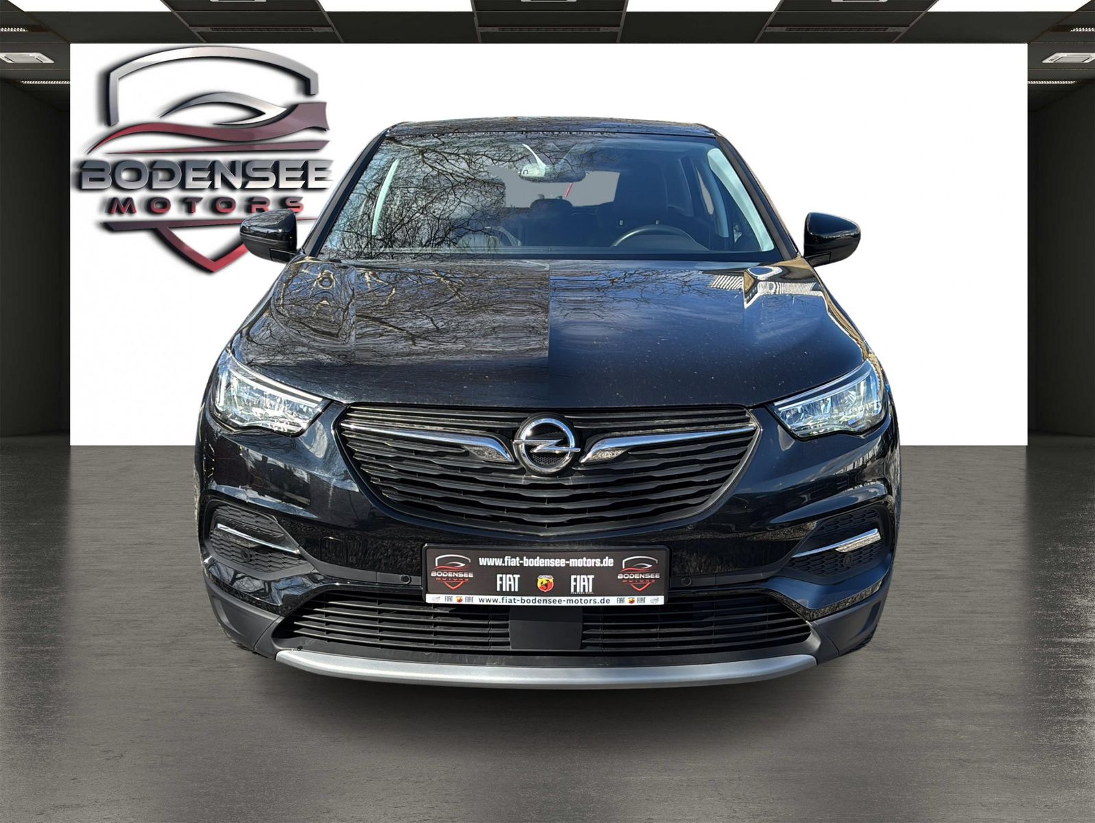 Fahrzeugabbildung Opel Grandland Elegance