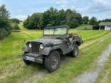 Jeep Willys M 38 a 1 Army - Jeep Willys: M38a1