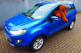 Ford EcoSport Titanium - Ford EcoSport Titanium mit Diesel-Antrieb