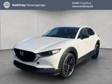 Mazda CX-30 e-SKYACTIVE G 140 HOMURA 103 kW, 5-türig - Mazda CX-30 Tageszulassungen