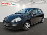 Fiat Punto Pop 5-trg. - Fiat Punto Gebrauchtwagen in Halle