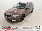Skoda Octavia Combi 1.4 TSI Ambition AHKISHZIPDC - Skoda Octavia Gebrauchtwagen in Dresden