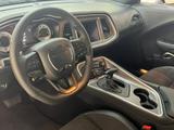 Dodge Challenger V8 Hemi R/T Shaker - Dodge Challenger Neuwagen