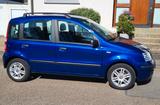 Fiat Panda - gebrauchte Fiat Panda aus dem Jahr 2009