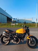 Ducati Scrambler 1100 Tribute Pro - Ducati Motorräder in Nürnberg