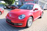 Volkswagen New Beetle Klima,PDC,Alu - Volkswagen New Beetle: Coupe