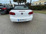 Volkswagen Golf 1.6 TDI LIFE BMT Cabriolet LIFE BlueMot...