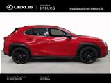 Lexus UX 250h Style+ Edition bis zu 15 Jahre Lexus Rel - Lexus aus 2021