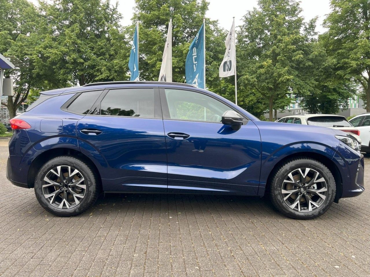 Cupra Terramar - Bild 2