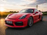 Porsche Cayman GT4 /2.Hand/Originalzustand - Porsche Cayman aus 2015