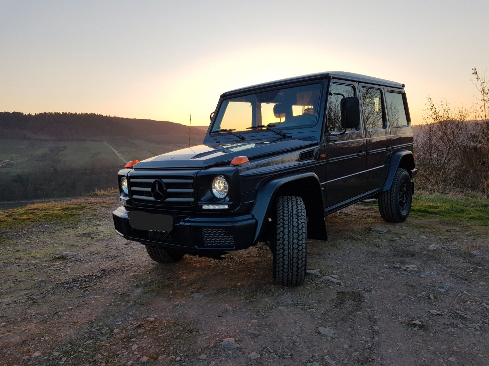MERCEDES-BENZ G 350 d Professional
