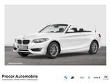 BMW 218i NAVI+PDC+SHZ+KLIMAAUTO - BMW 218 Gebrauchtwagen