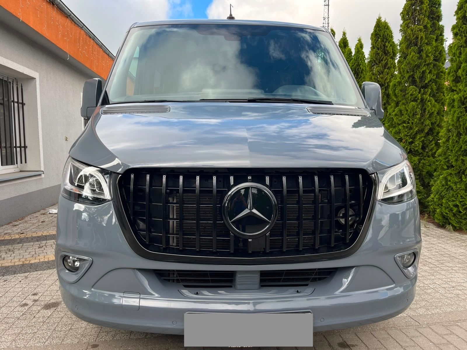 Mercedes-Benz Sprinter III Kasten RWD/AWD 319 CDI