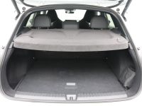 Cupra Terramar - Vorschau Bild 15