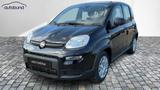 Fiat Panda 1,0  Hybrid (MHEV) Pandina Base NBA PDC  - Fiat Panda Gebrauchtwagen in Bielefeld