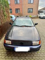 Volkswagen VW Polo classic - Volkswagen Polo: Classic