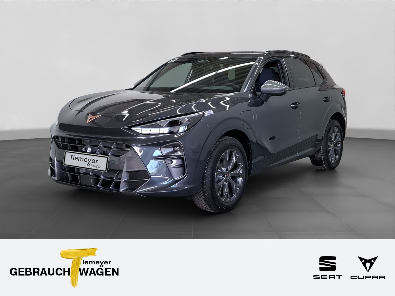 Cupra Terramar 1.5 e-HYBRID DSG REAR VIEW SITZHZ CLIMA