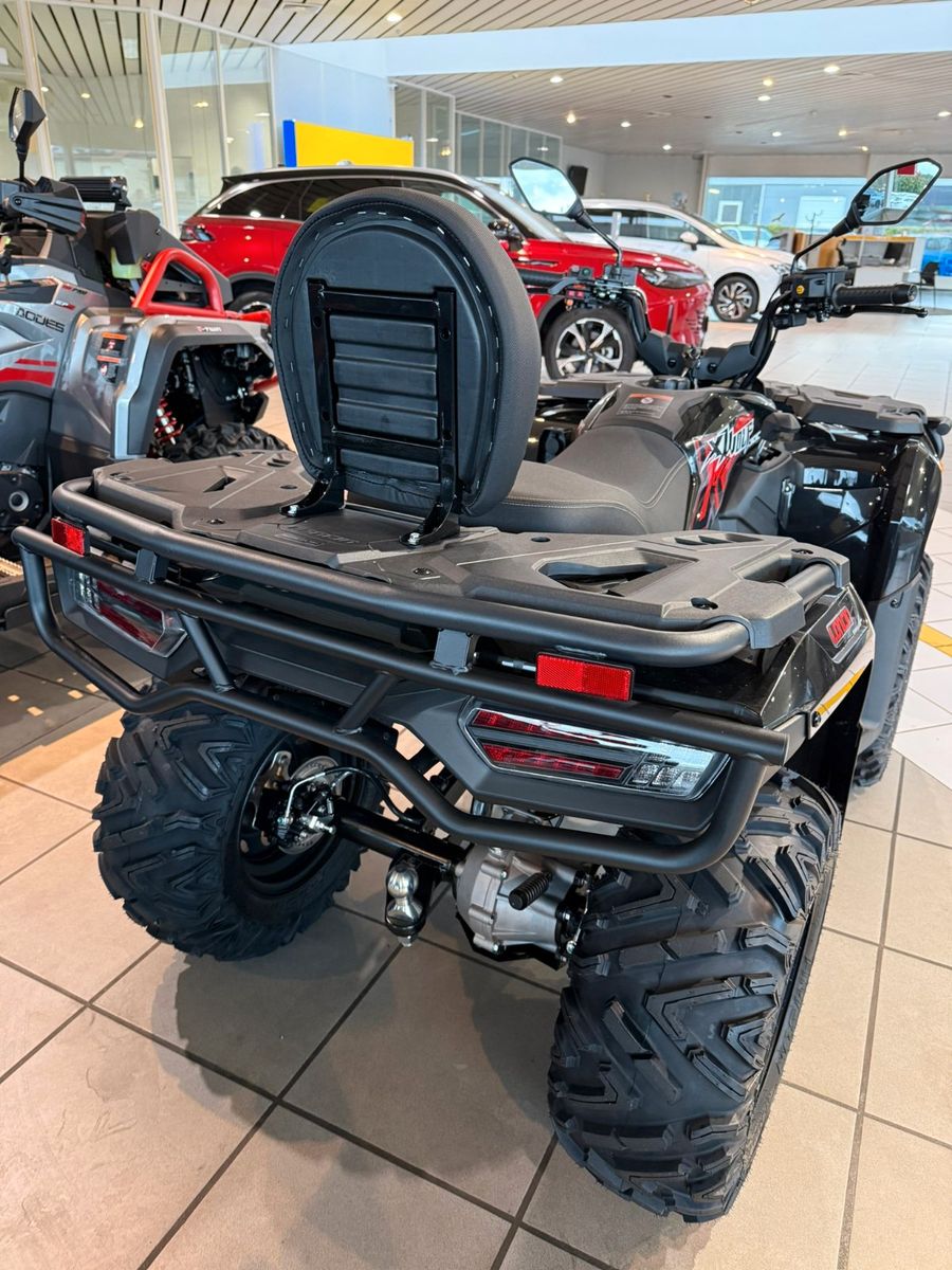Fahrzeugabbildung Loncin XWOLF 300 L7E
