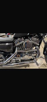 Harley-Davidson Sportster - HARLEY-DAVIDSON 2000