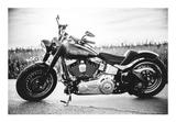 Harley-Davidson FAT BOY (FLSTF) Komplettumbau, Einzelstück - HARLEY-DAVIDSON 2009 FAT BOY