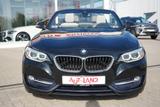BMW 220i Sport Line Tempomat Sitzheizung Leder PDC - BMW 2er Reihe mit Benzin-Antrieb: Cabrio, Automatik